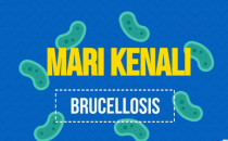 Mari Kenali Brucellosis